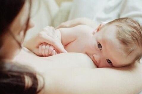 國內母乳分析儀市場分析和產品比較